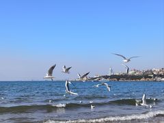 -青岛第三海水浴场