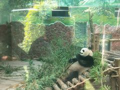 -黔灵山公园-南门售票处