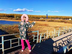 -塞罕坝国家级自然保护区