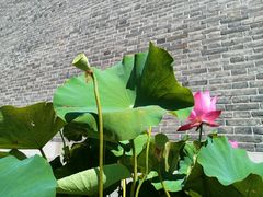-青州古城