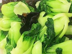 小白菜-蓝精灵饺子店