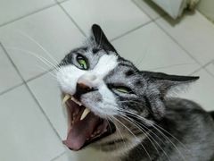 -阿上阿上麻辣香锅&麻辣烫(朝阳蓝色港湾店)