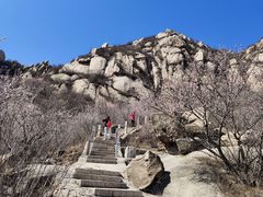 -北京凤凰岭