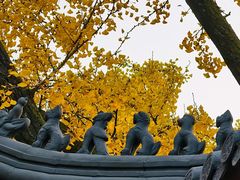 -灵谷景区