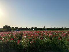 -上海杨姆庄园