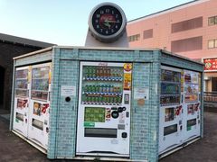 -台场海滨公园船码头