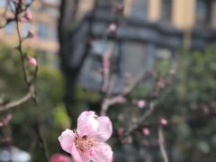 -袁记串串香(和县镇淮街店)