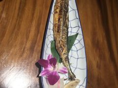 -晶吉·居酒屋·烧鸟·生鱼饭(中山区民主广场店)