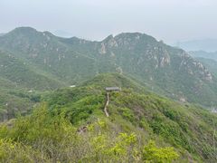 -大岭沟猕猴桃谷风景区