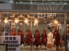 -顺城金记卤鸡·清真