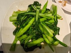 -新蜀会四川豆花(五羊店)