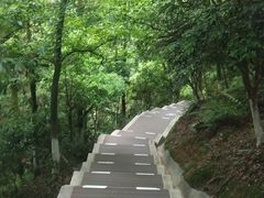 -云碧峰国家森林公园