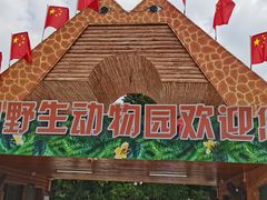-深圳野生动物园