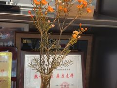 -同步齿科·数字化正畸种植口腔中心(珠海店)