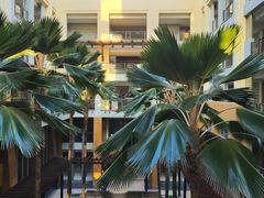 -三亚海棠湾万丽度假酒店