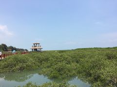 景点-北海金海湾红树林生态旅游区