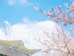 -CoCo都可(虹口龙之梦店)