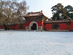 -北陵公园