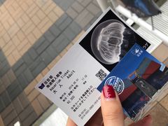 -大阪海游馆
