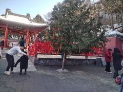 -华清宫景区