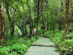 -叠溪松坪沟景区