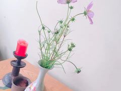 -翠田Green Field Kitchen