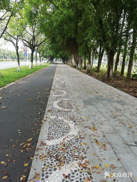 滨海公园图片