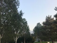 -秦始皇帝陵博物院-丽山园