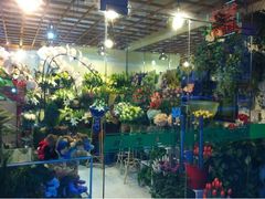 -静岸花卉园艺(三星坊店)