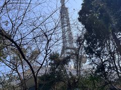 -大蜀山国家森林公园