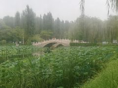 -白洋淀景区