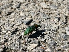 -南京市无想山景区