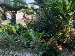 -Ohkajhu Organic Farm Sansai