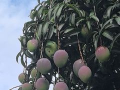 -云溪植物园