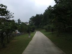 -唐风温泉