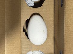 -单家老院·院子里的青岛菜(沙子口店)