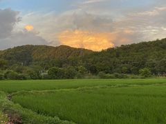 -百威盛宴自助KTV(大北路店)