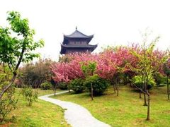 -堤角公园