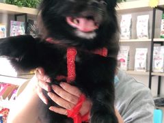 -宠颐生动物医院·小陆分院