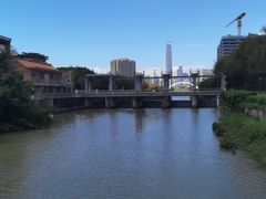 -福田红树林生态公园