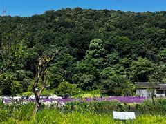 -南北湖风景区
