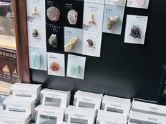 -北京周口店北京人遗址博物馆