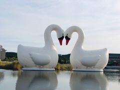 -西霞口神雕山野生动物世界