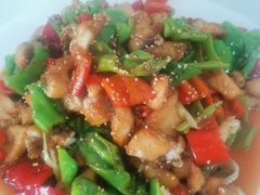 -煲来饱去冷水鱼