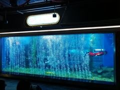 -顺德南宏海立方海洋公园