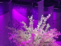 -金陵梦华·宫宴(南京首店)