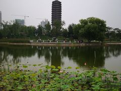 -西海子公园