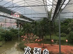 -无锡动物园·太湖欢乐园