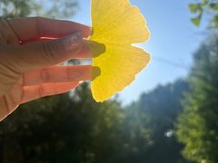 -长白岛森林公园