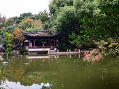 -汇龙潭